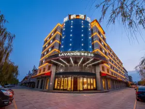 Lavande Hotel（Lingwu government store）