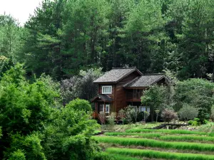 Daotian Hotel