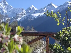 四姑娘山雲頂望山民宿