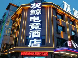 Wuchang Grey Whale E-sports Hotel