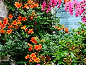 Taohua Island Jianghu Hot Spring Homestay Hotel (Xinzhou Ancient City Branch)