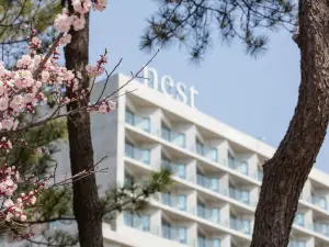 Nest Hotel, a Member of Design Hotels