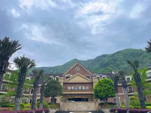 Dujiang Neihongkou Green Mountain View Hot Spring Hotel