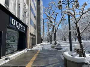 Odysis Sapporo Odori Koen Hotel