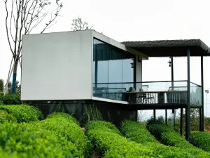 Tea Garden Vacation Homestay