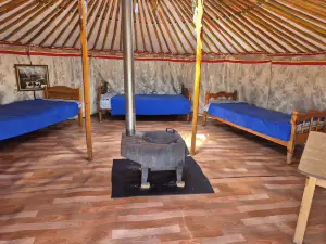 1000 Starlight Steppe Camp