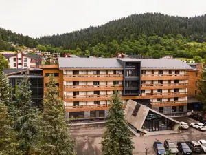 Bakuriani Inn Hotel