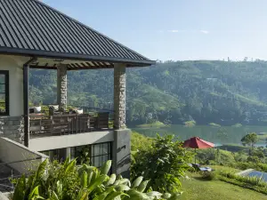 Camellia Hills