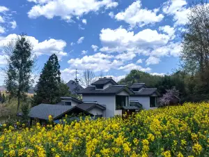 Huaduli Dujuanxiangshe Boutique Homestay