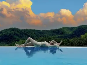 山鸞360°森林祕境|酒吧・泳池・療愈Healing藝術美學設計師度假別墅