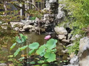 Courtyard Xiangshe (Hexia Ancient Town)