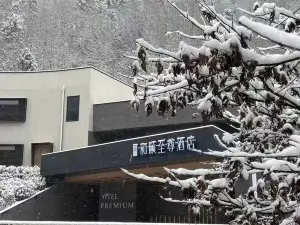 Chengdu Dayi Xiling Snow Mountain and Yi Supreme Hotel