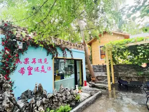 Encountering homestays again