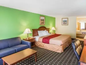 OYO Hotel Douglas GA US-441