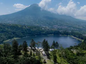 ฟอร์จูน แกลมปิ้ง