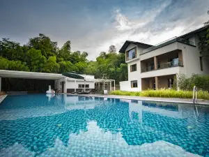 Jingshan Green Zen Academy