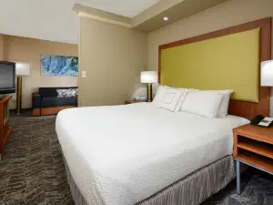 SpringHill Suites Lynchburg Airport/University Area