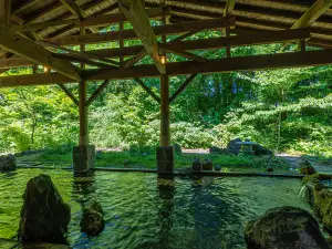 KAMENOI HOTEL TAZAWAKO