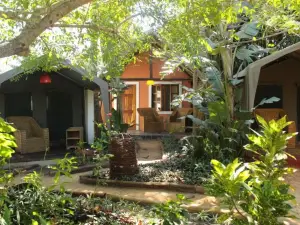 ดีโวโอเชียน ลอดจ์