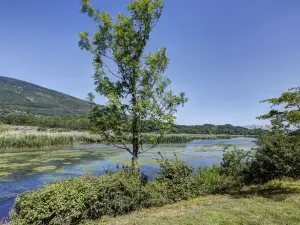 เลอวิลลาจดึลาวแซงวอ - วาคังซีโอล