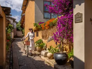 두안·스광리유펑 서지스 스마트 매이쑤（다리 사시고전）