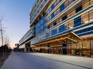 Radisson Hotel Beijing Daxing Airport