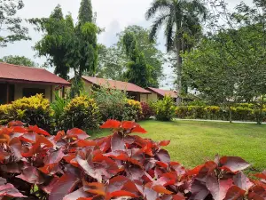 Chitwan Park Resort