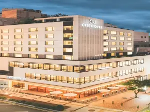 Wonju City Hotel Hyeoksin