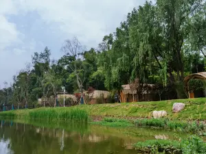 Bird Language Forest XiHu Homestay