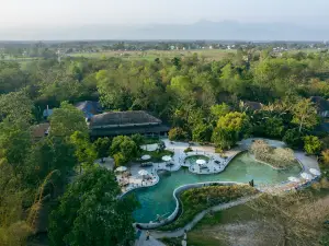 Barahi Jungle Lodge