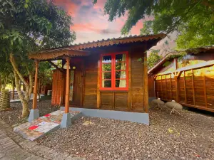 Avery Coconut Island Waterpark Beach Resort Carita