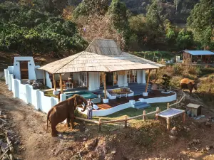 Elephant pool villa maetang chiangmai