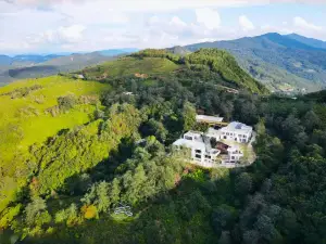 Phoenix Mist Retreat | Dali Wuliang Tea Forest Resort