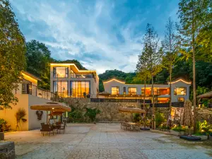 Longyin Gushu Tea-themed Stay