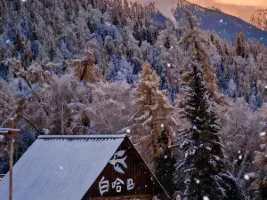 Ta'er Homestay (Baihaba Village Branch)