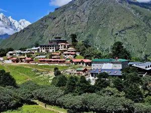 The Himalayan Tyangboche