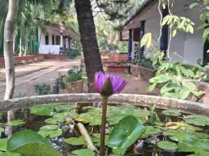 Eco Nature Lodge - Habarana