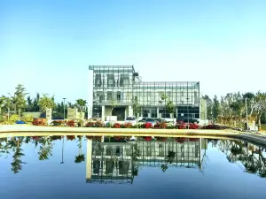 Xuwenxu Town Homestay