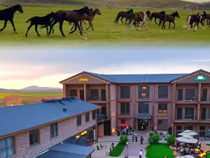 Western Meadow Resort