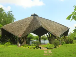 Hanchey Bamboo Resort