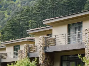 太岳森林康养·林溪松居