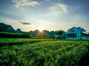 Xingyi Pinfengmingshuwanfeng