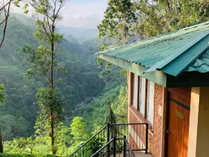 Tea Cottage Resort & Spa