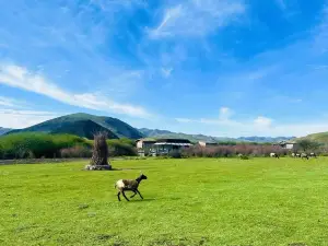 Sangqing Campsite