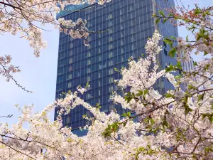 Sofitel Ambassador Seoul Hotel & Serviced Residences