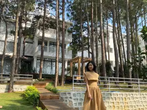 Romeo Juliet Dalat Resort