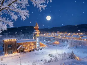 Ergunanhe Russian National Township Wangjian Linyue Hotel