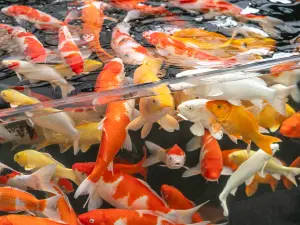 Manji Blue Diamond | ROMANTICSEASONBLUEHOTEL Hotel (Shenyang Youth Avenue Subway Station)