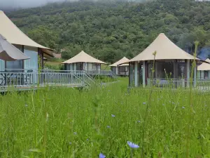 寶興甲瓦阿里野奢度假營