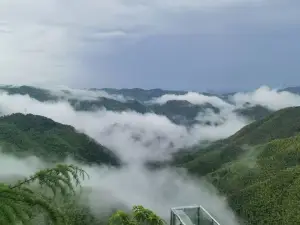 Lingyun Guanzhi Cloud Cliff Boutique Homestay